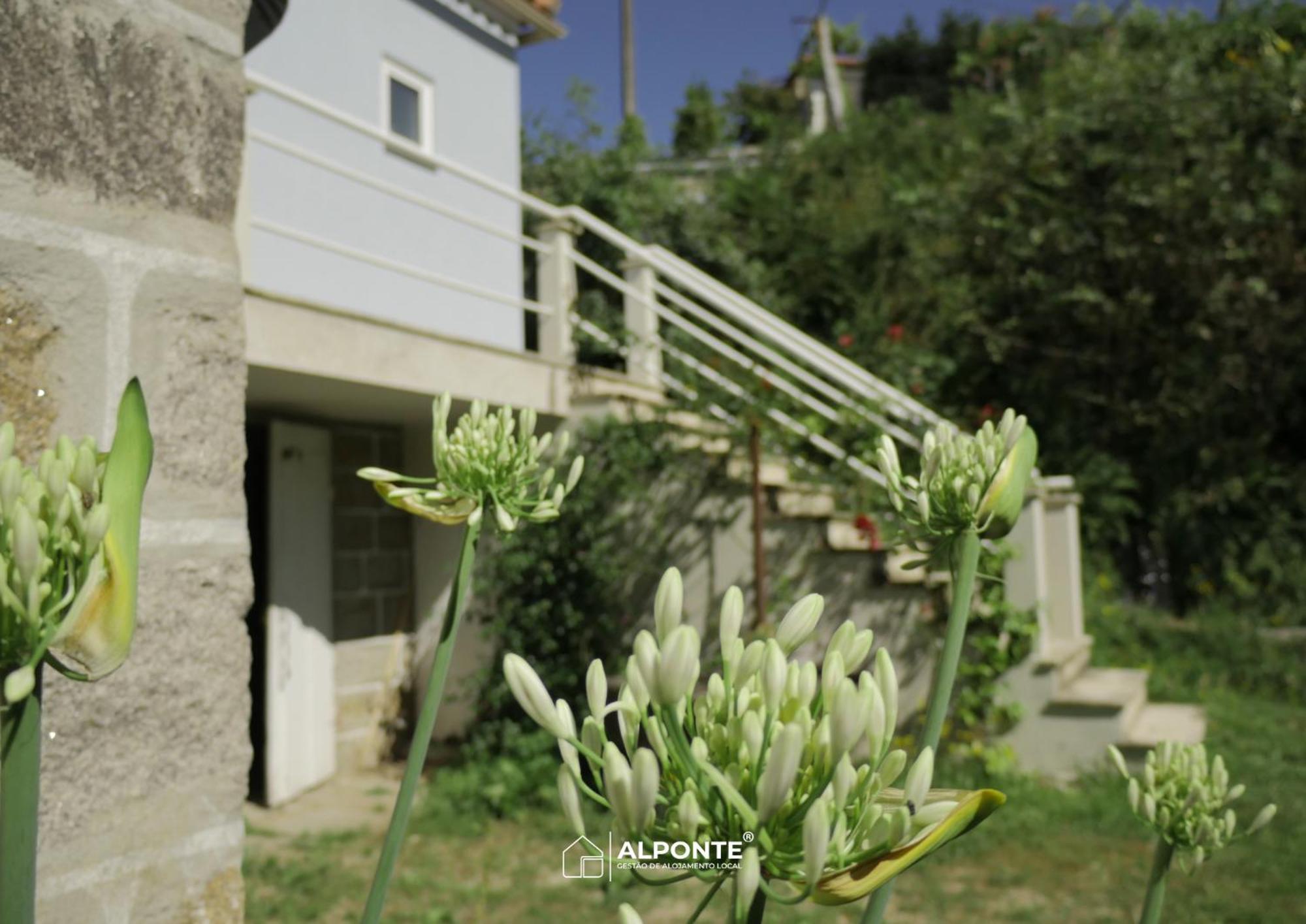 Villa Quinta Da Costeira - Casa Azul Do Limoal By Alponte Arcos de Valdevez Esterno foto