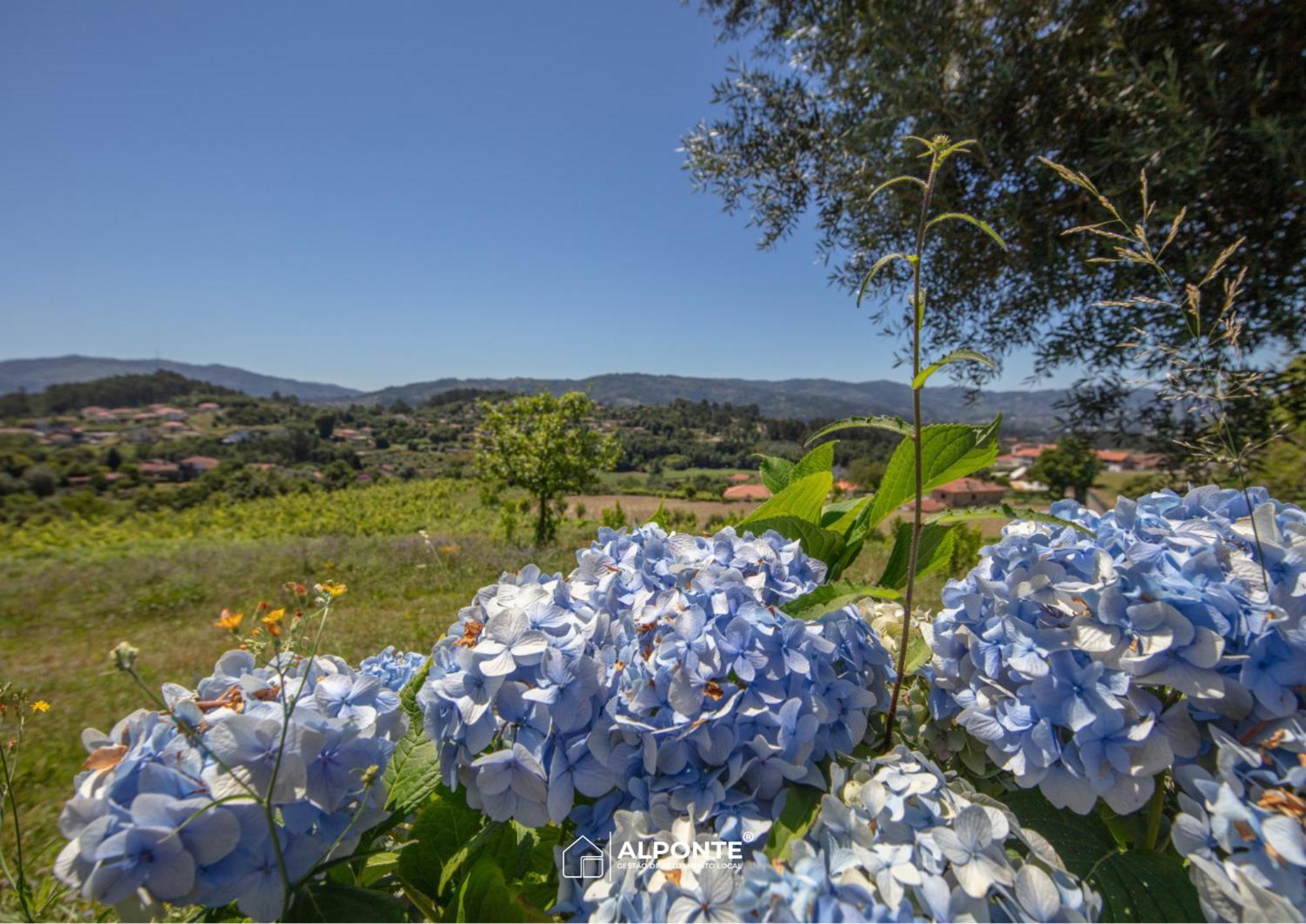 Villa Quinta Da Costeira - Casa Azul Do Limoal By Alponte Arcos de Valdevez Esterno foto