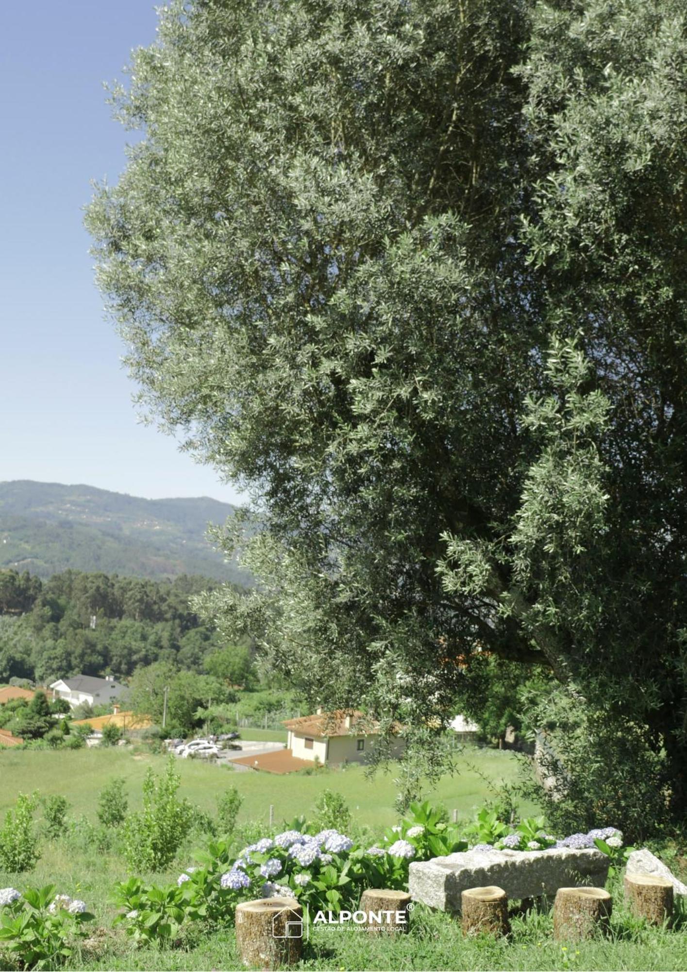 Villa Quinta Da Costeira - Casa Azul Do Limoal By Alponte Arcos de Valdevez Esterno foto