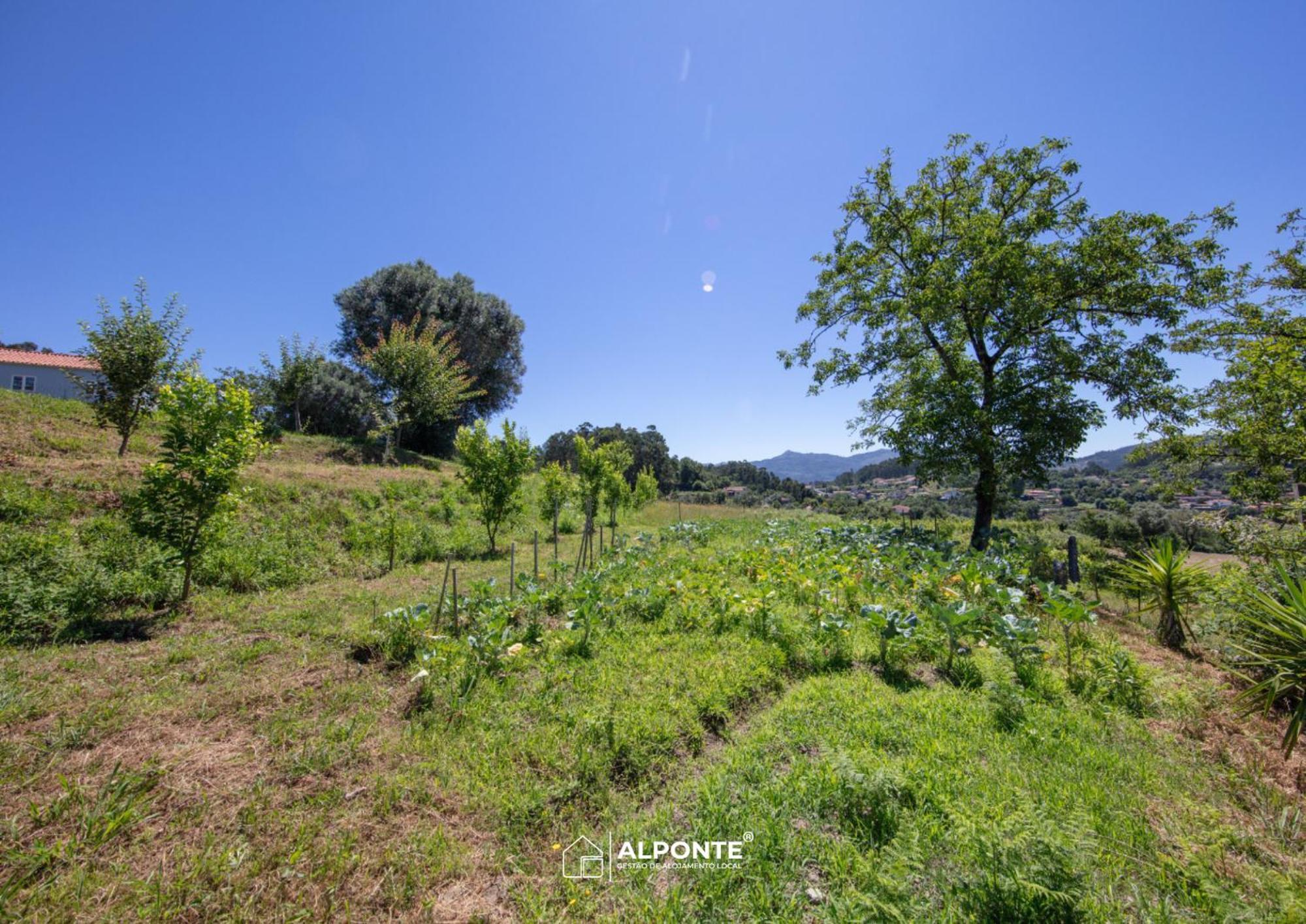 Villa Quinta Da Costeira - Casa Azul Do Limoal By Alponte Arcos de Valdevez Esterno foto